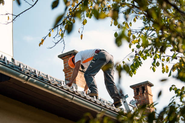 Gutter Installation and Roofing in Dundee, NY