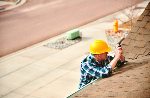 Best Roof Gutter Cleaning  in Dundee, NY