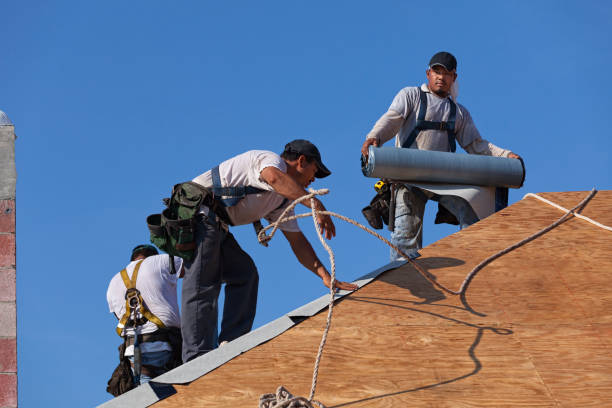 Best New Roof Installation  in Dundee, NY