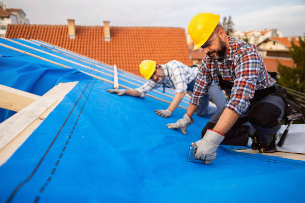 Best Gutter Installation and Roofing  in Dundee, NY
